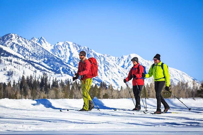 4 Hour Beginner Cross Country Skiing in Grand Teton - Key points at a glance