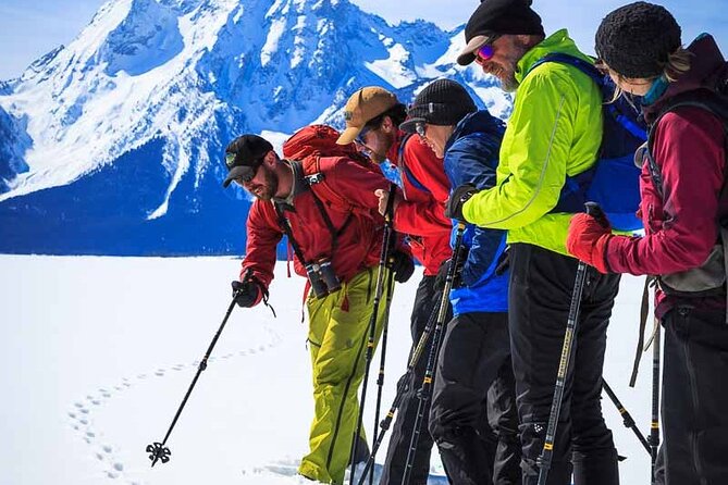 4 Hour Beginner Cross Country Skiing in Grand Teton - Why this Grand Teton ski tour works for beginners