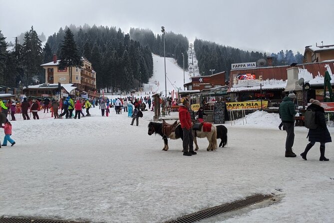 5-Day Ski Equipment Rental in Borovets - Equipment quality and fitting help