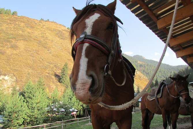 5 days sightseeing and skiing trip in Kyrgyzstan - Day 4: Jeti-Oguz, Broken Heart, and Barskoon