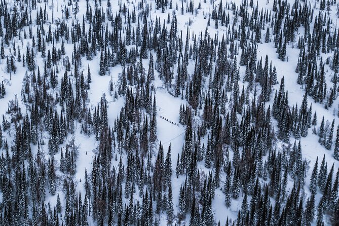 6-Day Kazakhstan Ridder Camp Ski Private Guided Tour and Adventure - The key facts at a glance