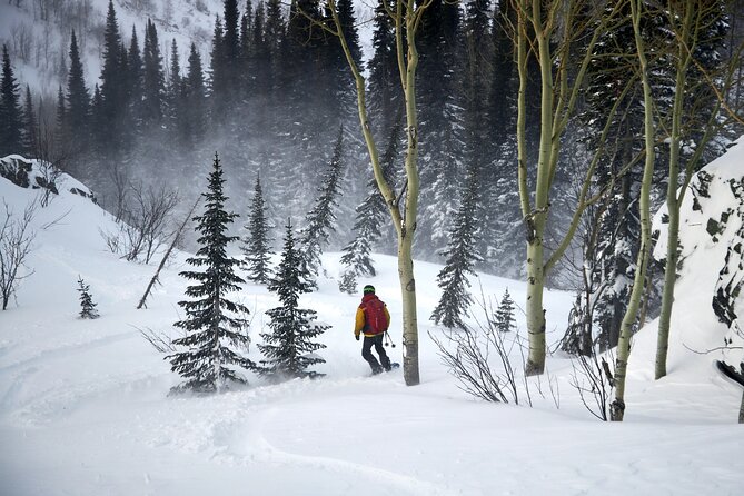 6-Day Kazakhstan Ridder Camp Ski Private Guided Tour and Adventure - Lodge life, meals, and the Russian banya