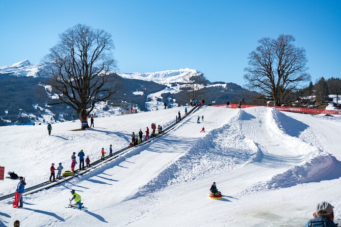 Afternoon Beginner Package Ski in Interlaken - Key points to know before booking