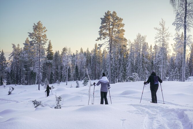 Backcountry Ski Adventure from Rovaniemi - Hills, downhill runs, and the effort involved