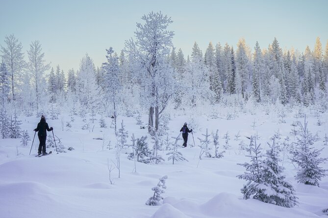 Backcountry Ski Adventure from Rovaniemi - What the longer Arctic outing tells you