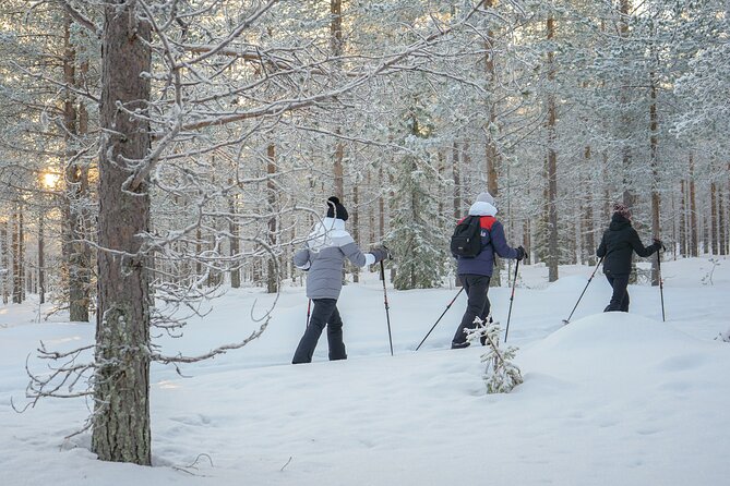 Backcountry Ski Adventure from Rovaniemi - Is $127.25 a fair price?