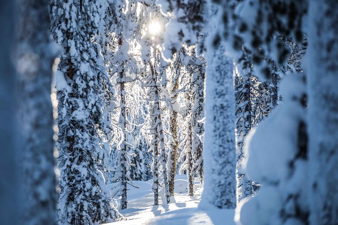 Backcountry skiing adventure - Who will enjoy this most
