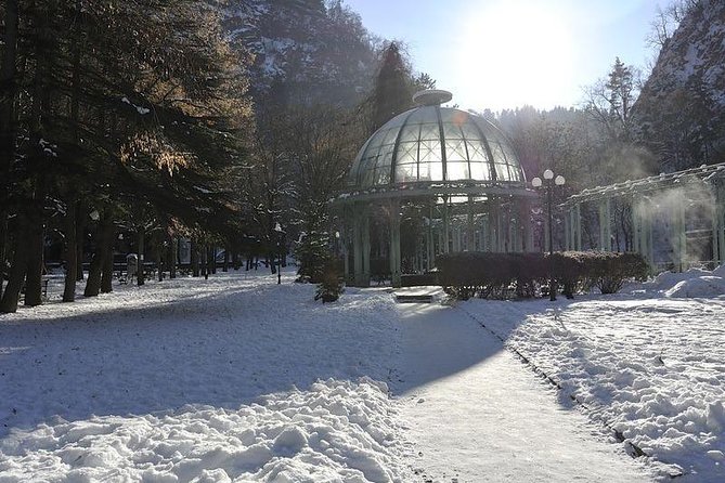 Bakuriani ski resort and the legendary Borjomi (Group Tour) - Who will enjoy this tour most?