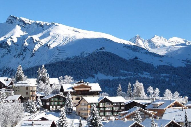 Bakuriani ski resort and the legendary Borjomi (Group Tour) - Borjomi Central Park and the mineral-water stop