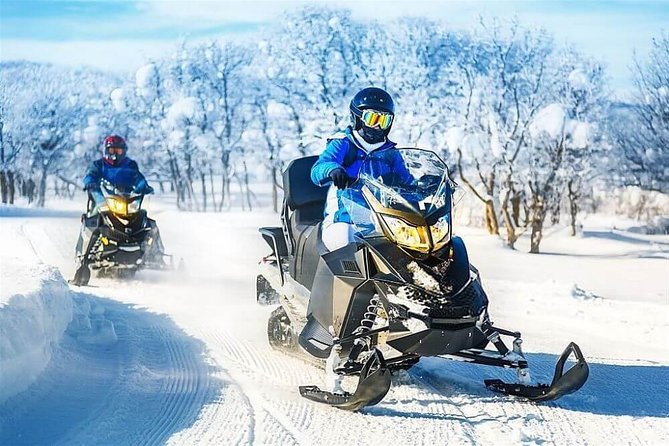 Bakuriani Ski Resort Private Day Tour from Tbilisi Snow Adventure - What this Tbilisi to Bakuriani day trip is really like