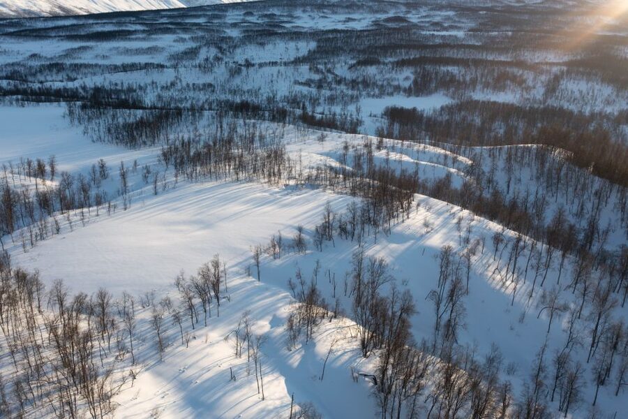 Breivikeidet: Cross-Country Skiing & Husky Visit - Your first lesson on skis