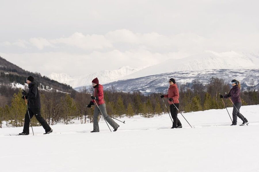 Breivikeidet: Cross-Country Skiing & Husky Visit - What the $145 price really covers