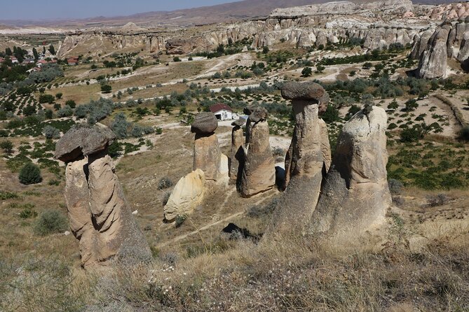 Cappadocia Erciyes Ski Tour And Red Tour 2 days - Devrent Valley turns geology into a guessing game