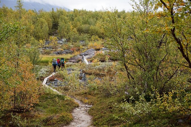 Classic Wilderness Skiing in the Pyhä-Luosto National Park - Key details before you book