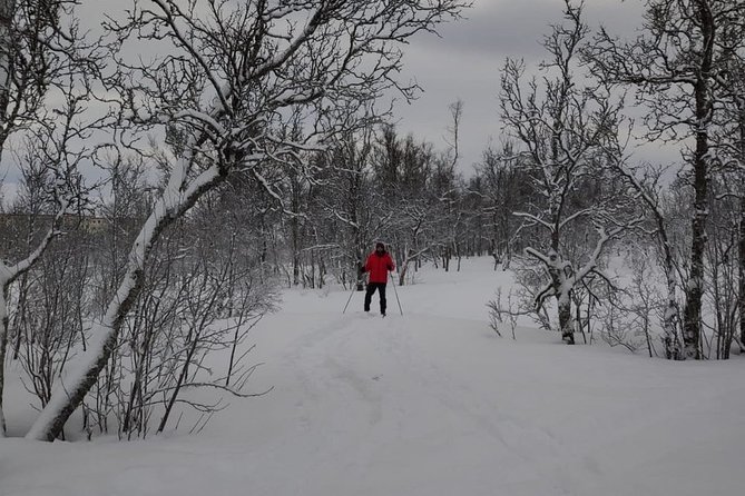 Cross-Country Ski Lesson for Beginners in Tromso - Flat trails first, small hills when ready