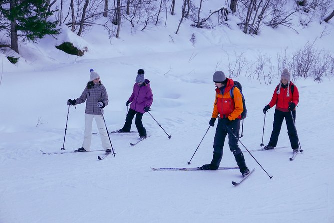 Cross-Country Ski Lesson for Beginners in Tromso - Is the $134.97 price fair?