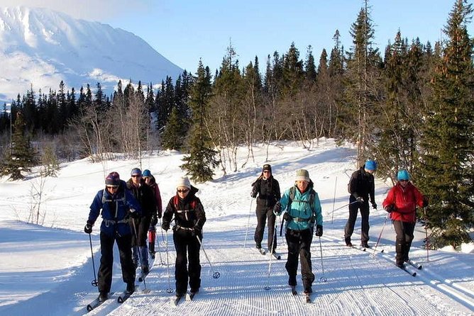 Cross-Country Skiing Guided Tour From Prague - What the scenery adds to the experience
