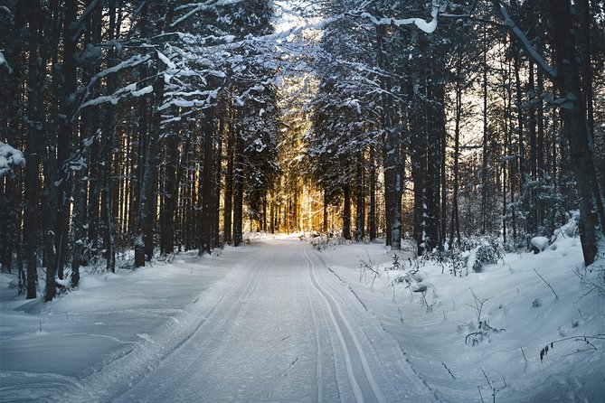 Cross-Country Skiing Guided Tour From Prague - Who will get the most from this tour