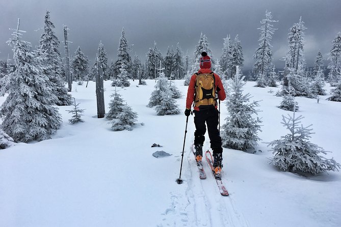 Cross-Country Skiing Guided Tour From Prague - Weather, cancellation, and practical timing