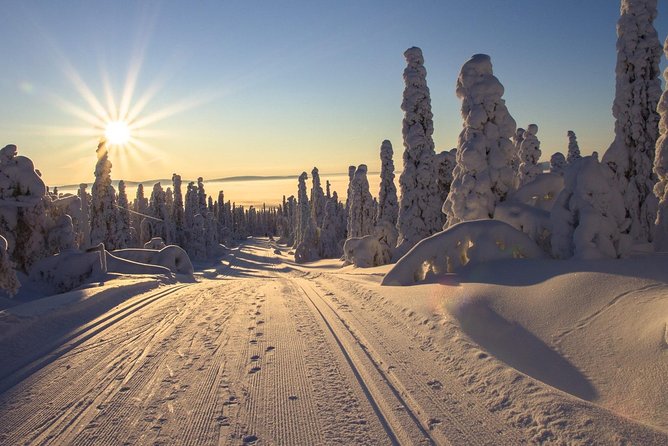 Cross-Country Skiing Guided Tour From Prague - Five hours on groomed routes and forest trails
