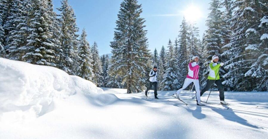Cross Country Skiing Lessons for Beginners (Feldberg) - Why Feldberg works for a first cross-country lesson