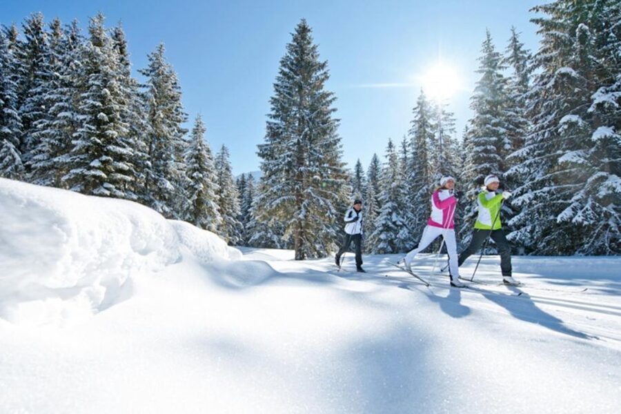 Cross Country Skiing Lessons for Beginners (Feldberg) - Parking requires old-fashioned preparation