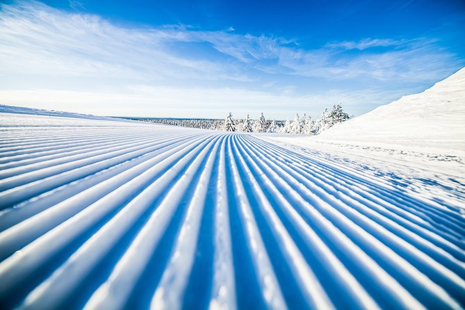 Cross-Country Skiing Trip - The lesson: classic technique first