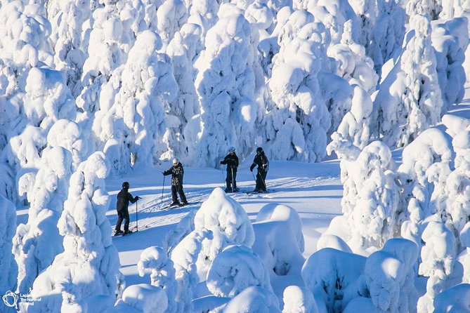 Cross-Country Skiing Trip - Snowy scenery, tracks, and the chance of animal signs