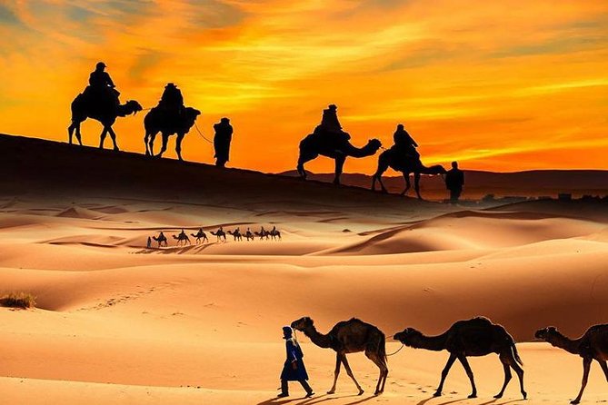 Desert Safari in a 4 x 4 with Sand Ski and Camel Ride from Dubai - A four-hour desert outing that fits a busy Dubai schedule