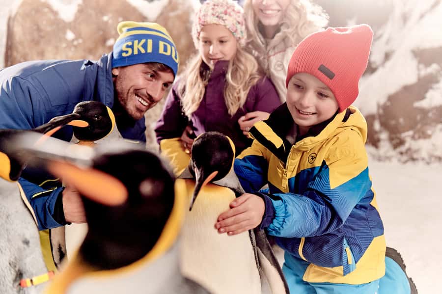 Dubai: Ski Dubai Snow Park Classic Pass - The cold is part of the experience