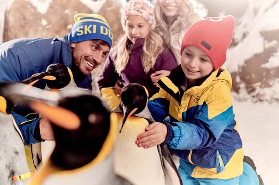Dubai: Ski Dubai Snow Plus Pass - Is $88 good value?