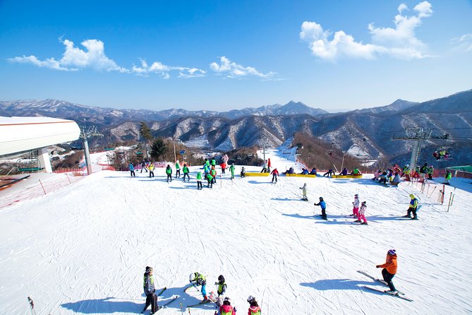 Elysian Gangchon Winter Ski with Nami Island Day Tour from Seoul - Key points before you book