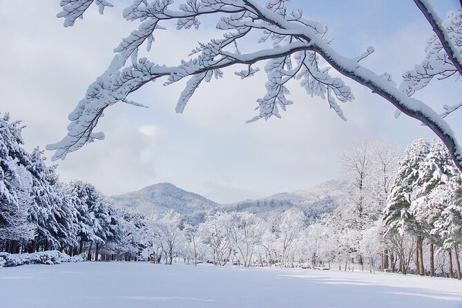 Elysian Gangchon Winter Ski with Nami Island Day Tour from Seoul - What the $33.33 price really buys