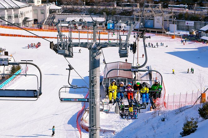 Elysian Gangchon Winter Ski with Nami Island Day Tour from Seoul - Who will enjoy this tour most