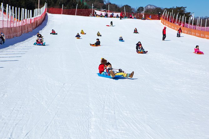 Elysian Gangchon Winter Ski with Nami Island Day Tour from Seoul - Should you book the Elysian Gangchon and Nami Island tour?