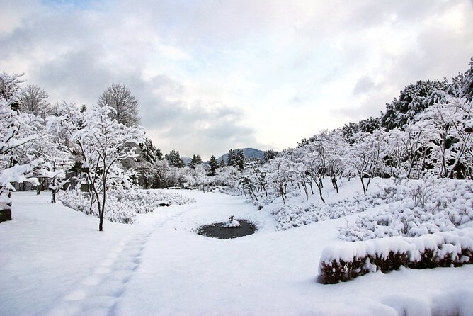 Elysian Gangchon Winter Ski with Nami Island Day Tour from Seoul - Elysian Gangchon: choose your snow experience