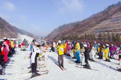 Elysian Ski Day Tour (Ski & Snow Board Full Package)