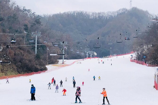 Eobi Ice Valley / Elysian Ski Resort / Nami Island - Getting Out of Seoul and Reaching Elysian