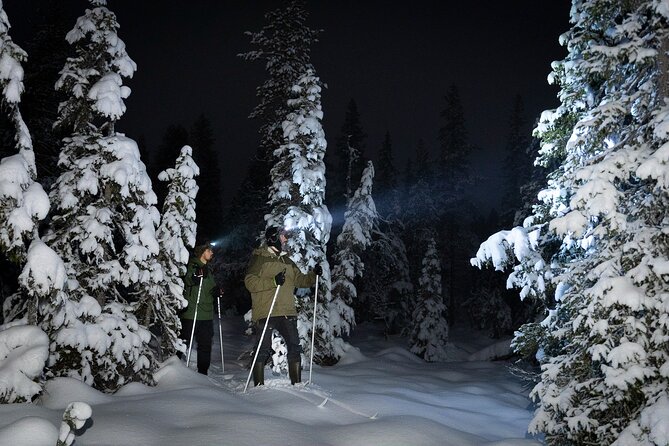 Evening Ski Trek to the Wilderness - Extra Small group - Key things to know before you book