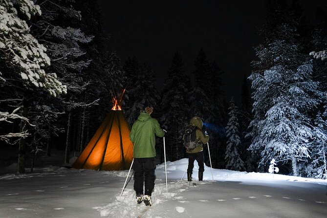 Evening Ski Trek to the Wilderness - Extra Small group - Searching the sky for stars and aurora