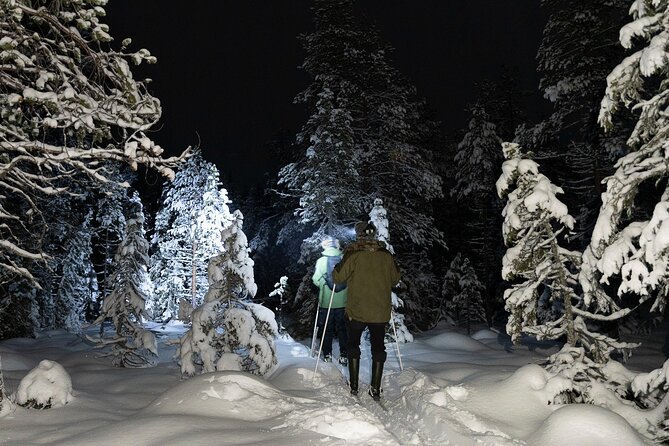 Evening Ski Trek to the Wilderness - Extra Small group - Learning to ski before the forest begins