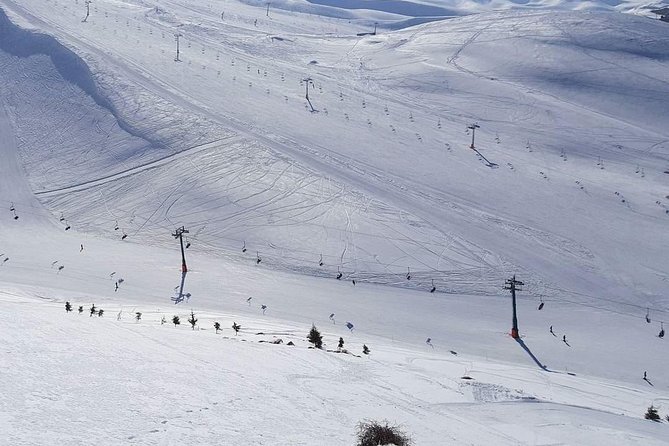 Faraya Ski Resort Lebanon - Who will enjoy this experience most