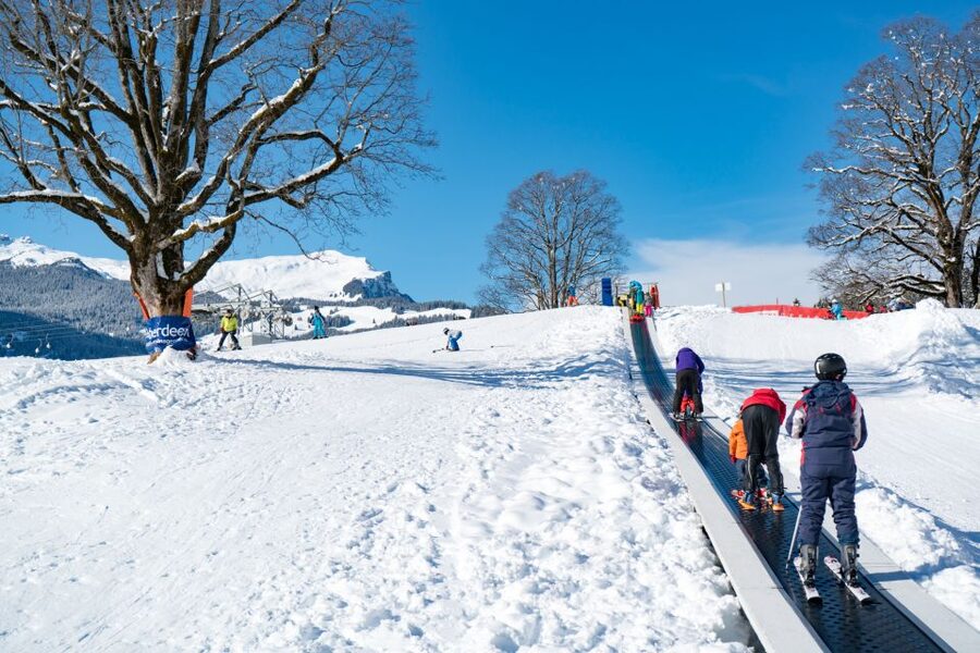 From Interlaken: Grindelwald Beginners Snowboarding Lesson - What is included, and what is not