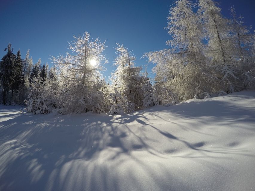 From Krakow: 3-Hour Skiing Experience Suitable for Beginners - Key points at a glance
