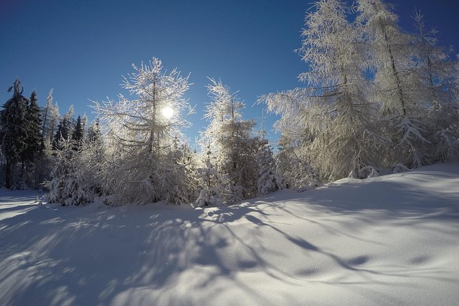 From Krakow: Siepraw Skiing for Beginners - Who will enjoy this beginner ski outing