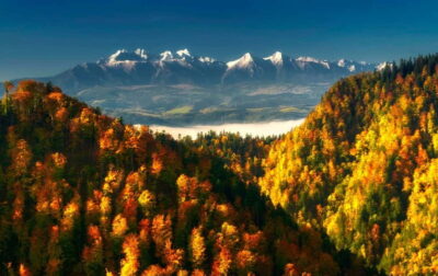 Witów Skiing and Zakopane Tour