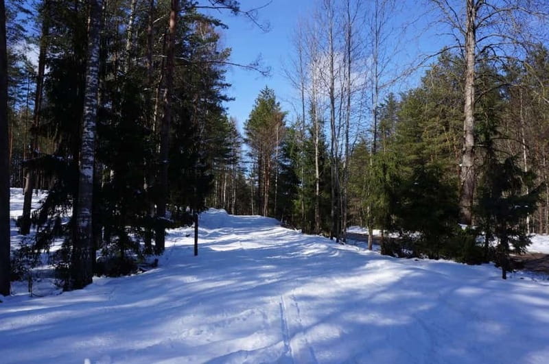 From Riga: Cross-country skiing and beating heart memorial - From Riga to Ogre Forest Park in about 45 minutes