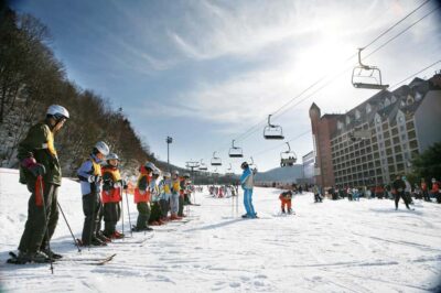 Korea Ski Tour – Jisan Forest Resort