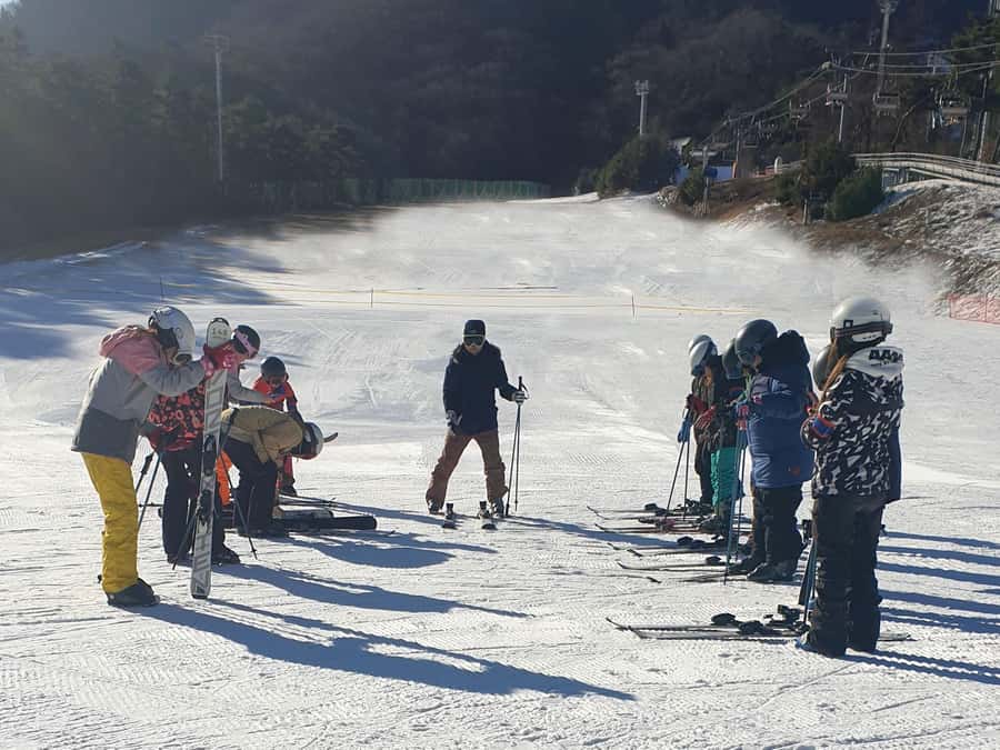 From Seoul: Korea Ski Tour - Jisan Forest Resort - What the $35 price really covers