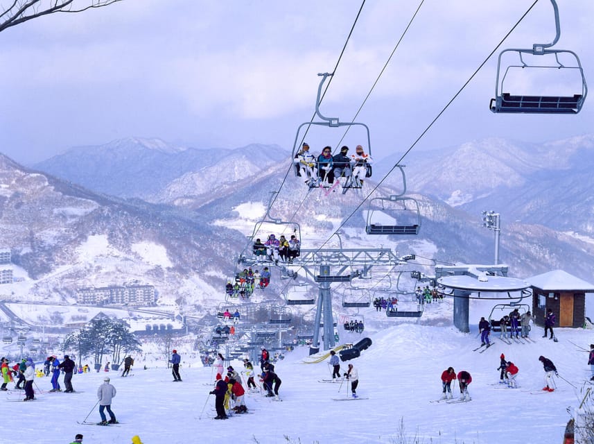 From Seoul: Korea Ski Tour - Jisan Forest Resort - Safety, insurance, and who should skip it